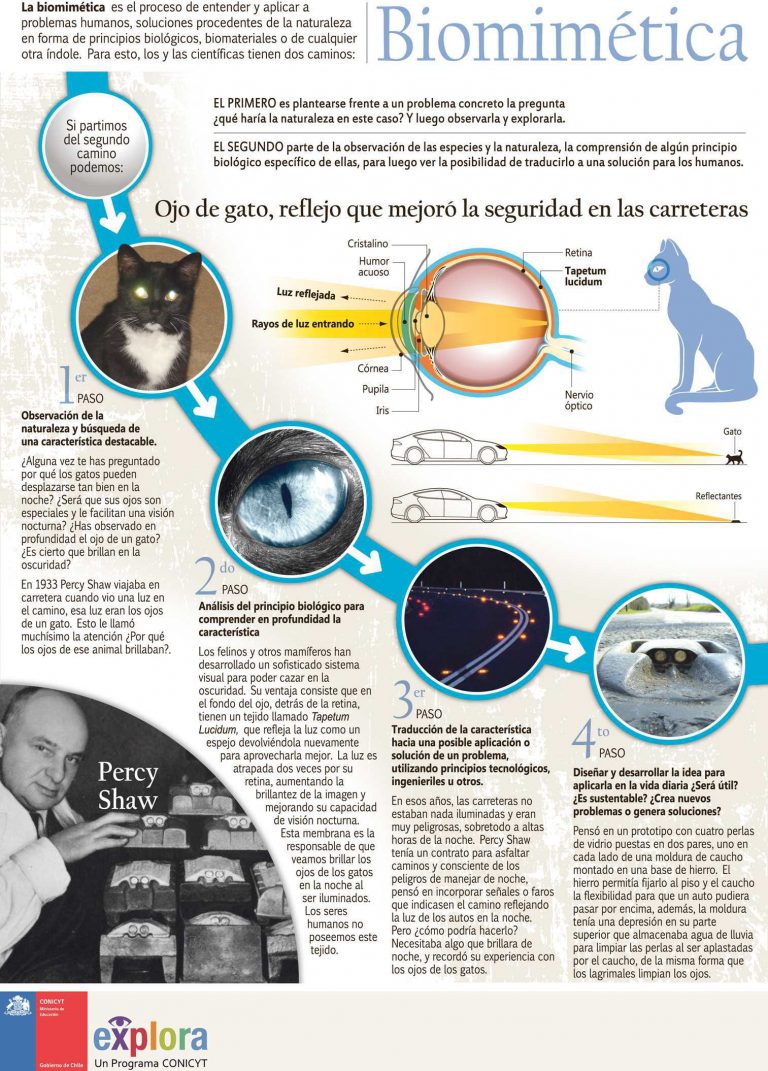 Biomimética: El ojo de gato