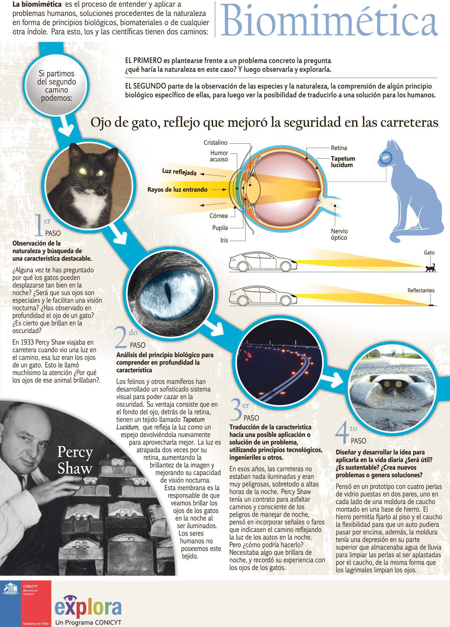 Biomimética: El ojo de gato