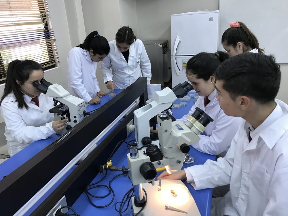lab abierto
