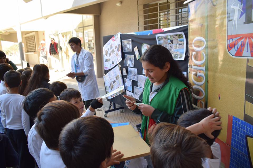 35237584 894448354071563 6099489163940200448 n