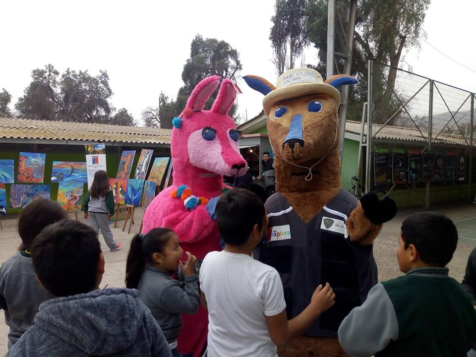 36340033 908176252698773 6562455710389501952 n