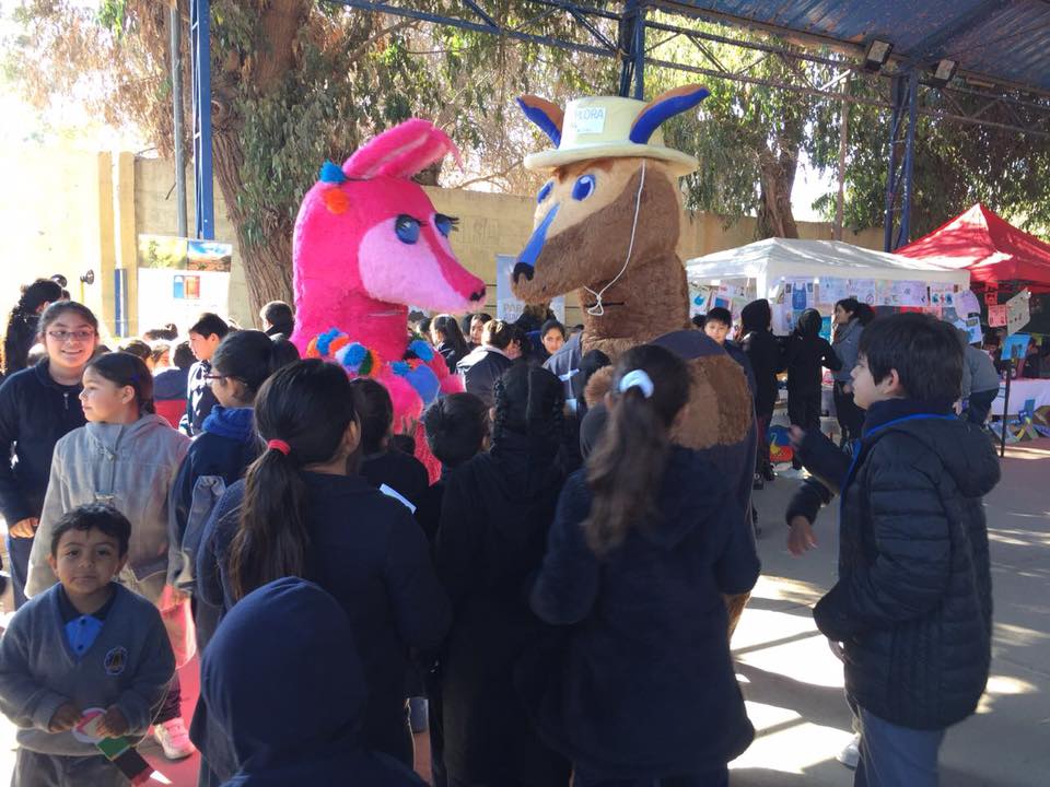 36385998 907236199459445 2691635014898024448 n