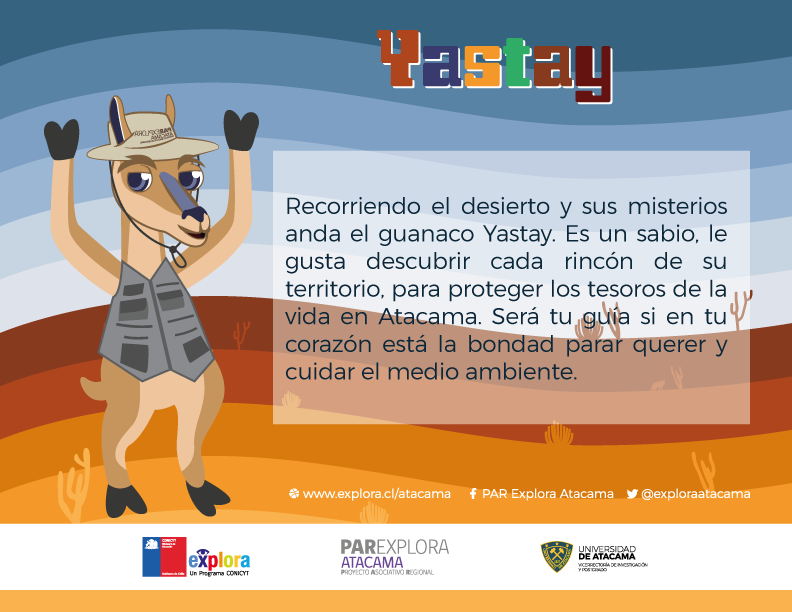 yastay info Y