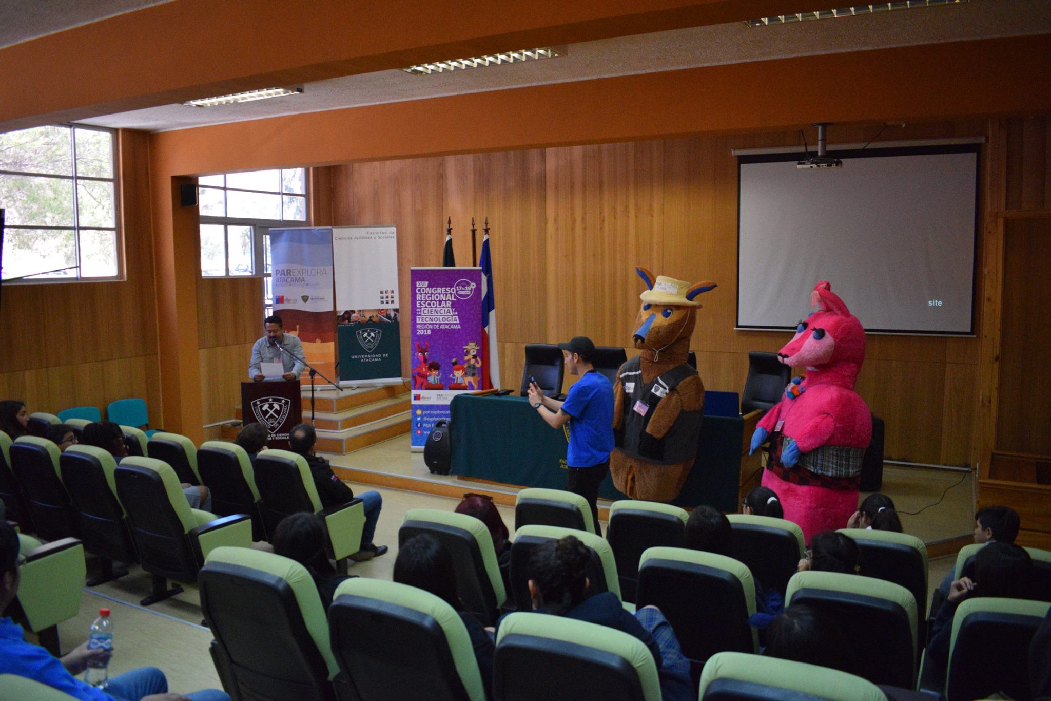 44286312 1007171712799226 4407474441060089856 o