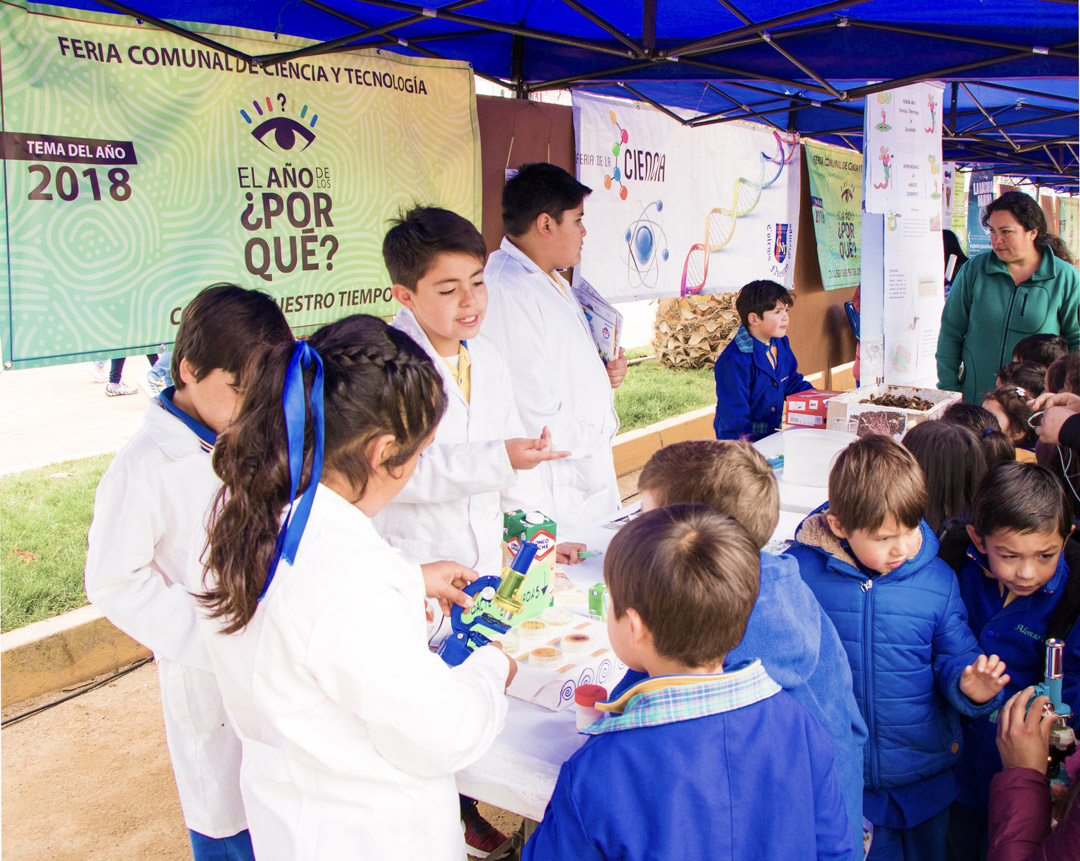 SNCyT2018 Recuento 2