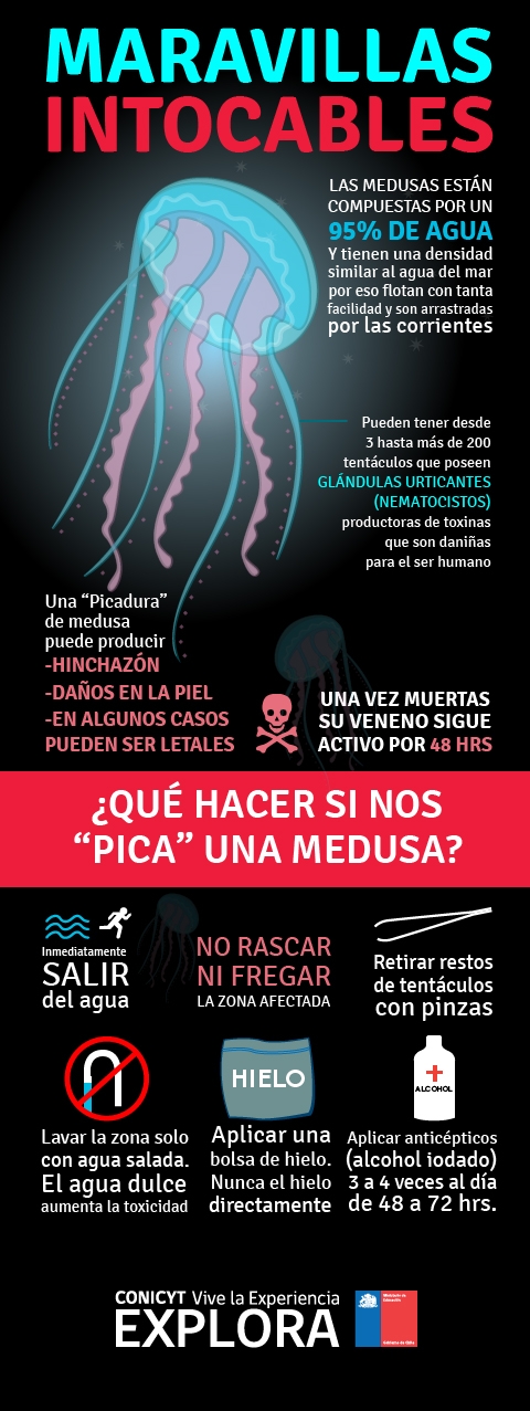 Maravillas Intocables