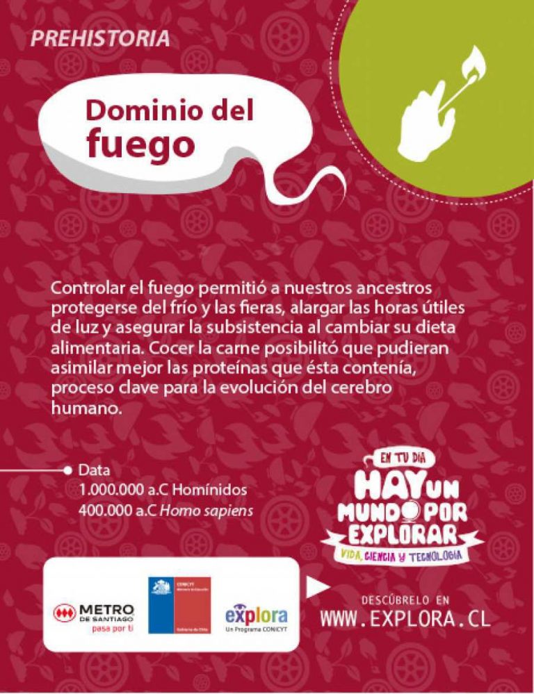 Dominio del Fuego