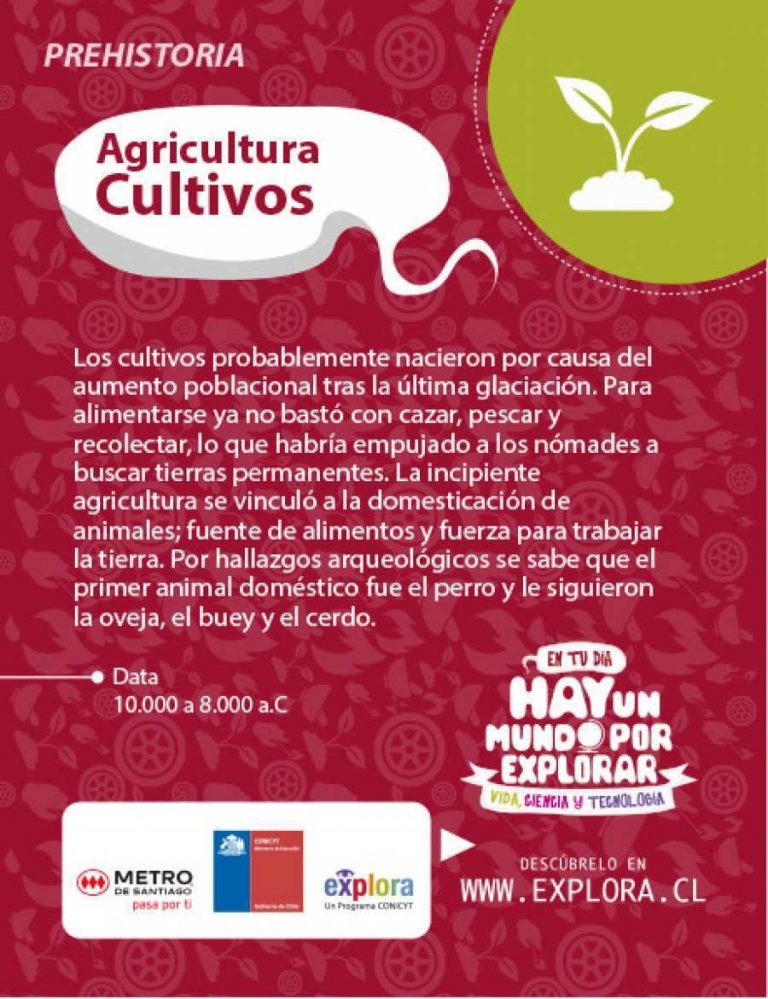Agricultura Cultivos