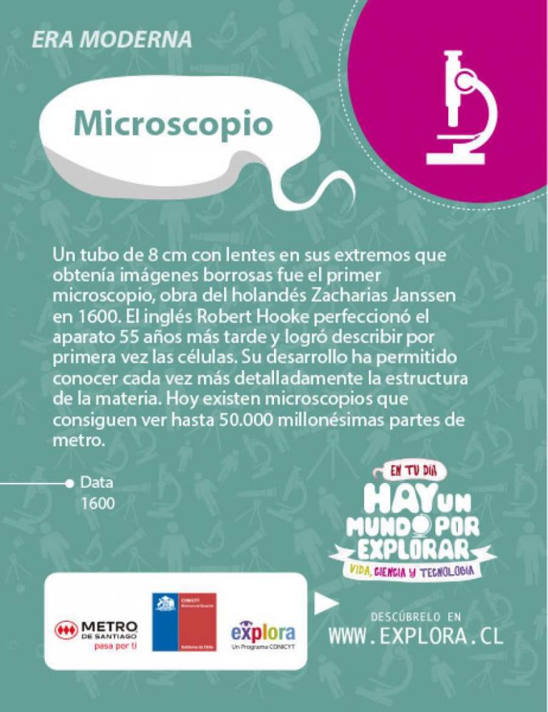 Microscopio