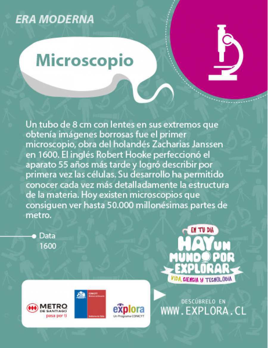 Microscopio