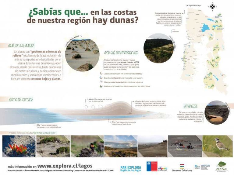 ¿Sabías que…en las costas de nuestra región hay dunas?