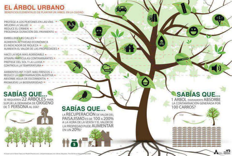El Árbol Urbano
