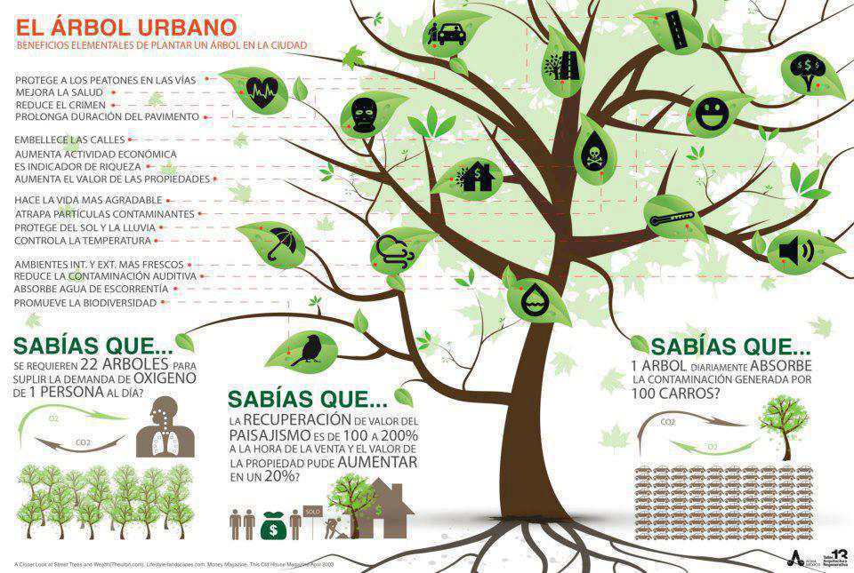 El Árbol Urbano