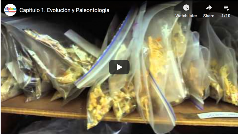 Aves, ciencia y tecnología