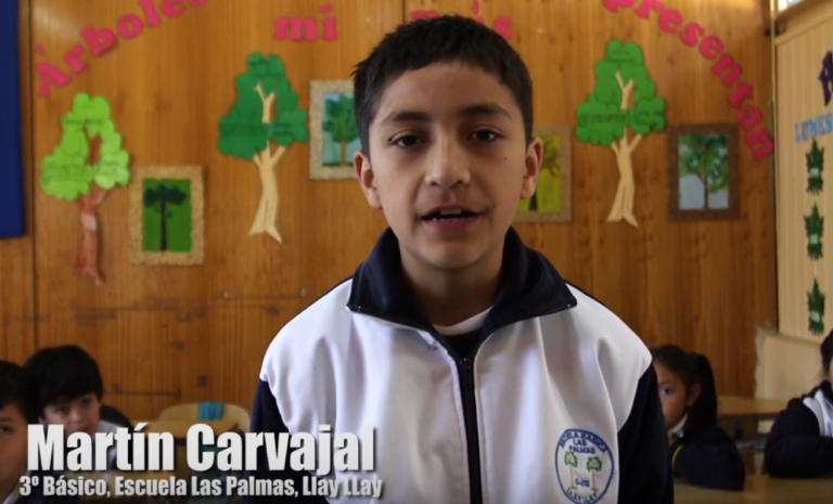 El puente de las preguntas: consulta Martín Carvajal